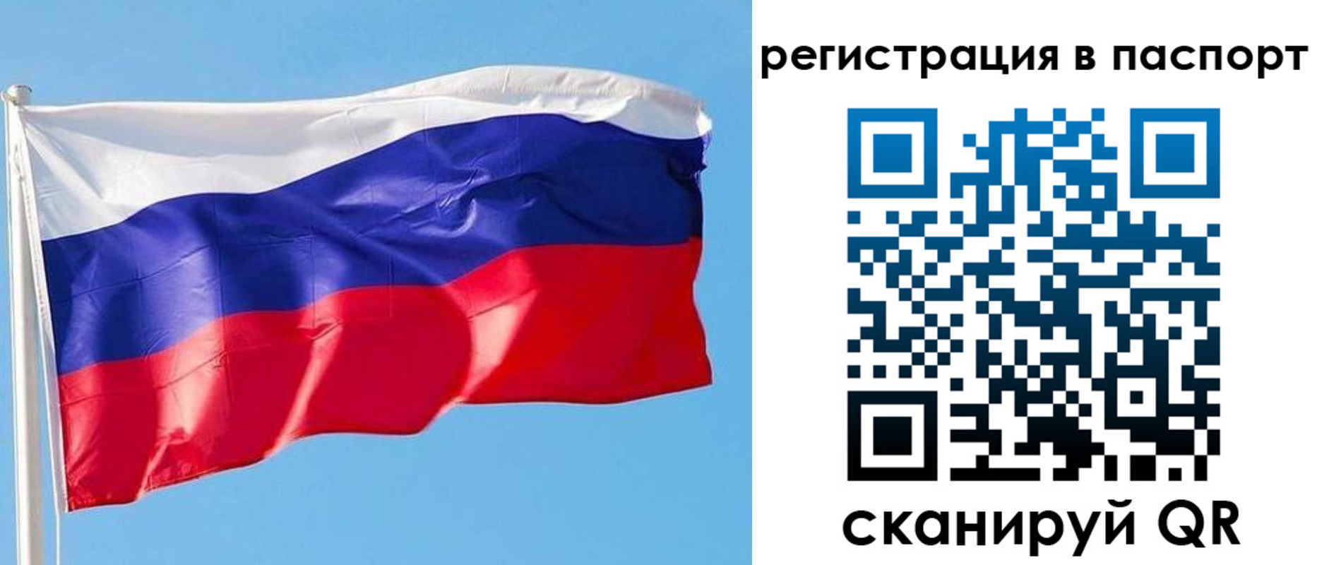 прописка законно в Каргополе